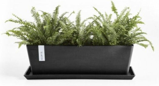 Ecopots Πιάτο Ζαρντινιέρας Μαύρο 47.5x19.5εκ. 74.013.45