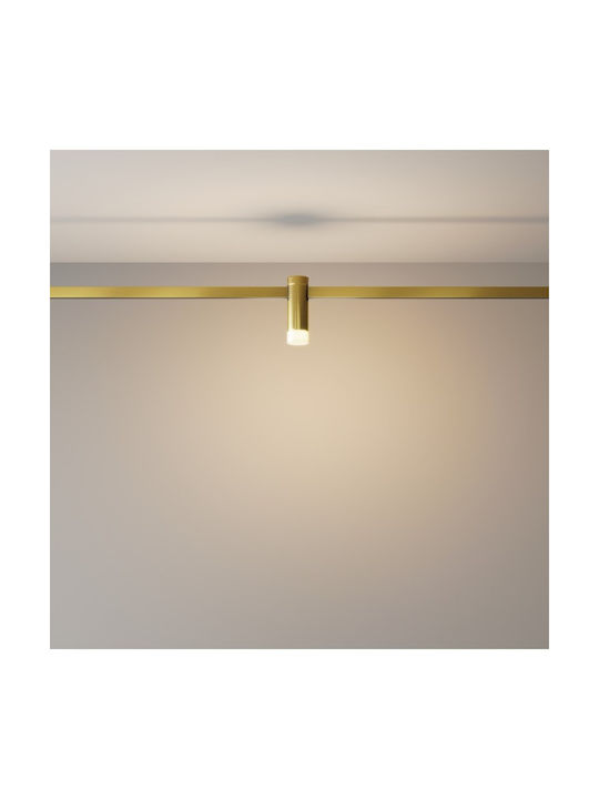 Maytoni LED Warmes Weiß Spot in Bronze Farbe