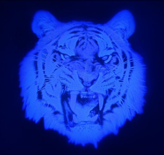 Autocolant Transparent Invizibil Fluorescent Imagine UV