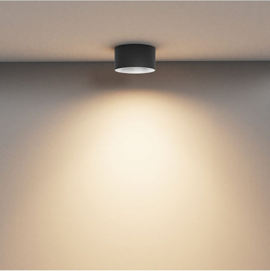 Maytoni Leuchte Deckenleuchte 7cm Schwarz mit Integrierter LED