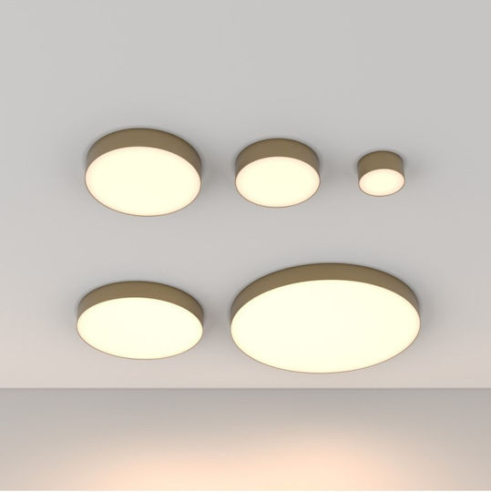 Maytoni Leuchte Deckenleuchte Gold mit Integrierter LED