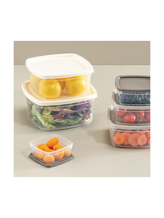 Viosarp Plastic Lunch Box Transparent 6pcs