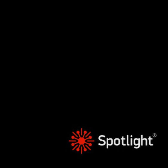 Spot Light Spiked Solar Light 4W with Cold White Light 6000K IP65