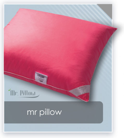 Amazing Shine Mr. Pillow