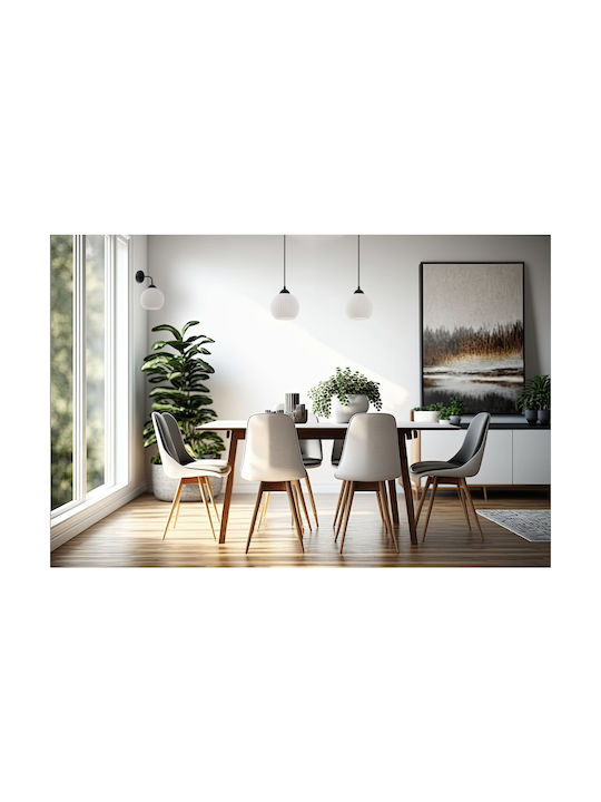 Light Home Light Home