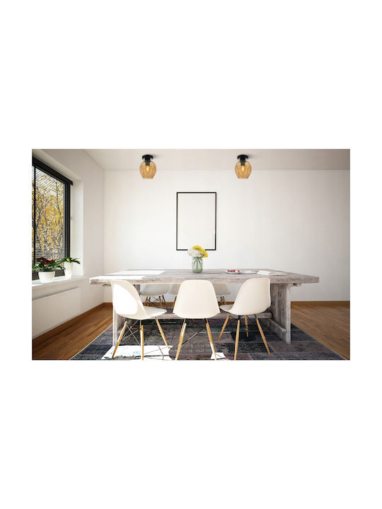 Light Home Ceiling Mount Light White