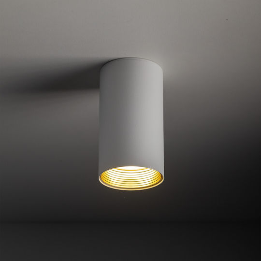 TK Lighting Spot in White Color