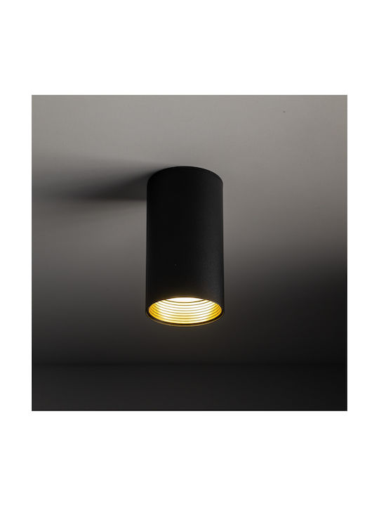 TK Lighting Spot in Schwarz Farbe