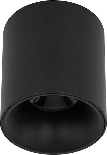 TK Lighting LED Warm to Cool White Spot in Black Color