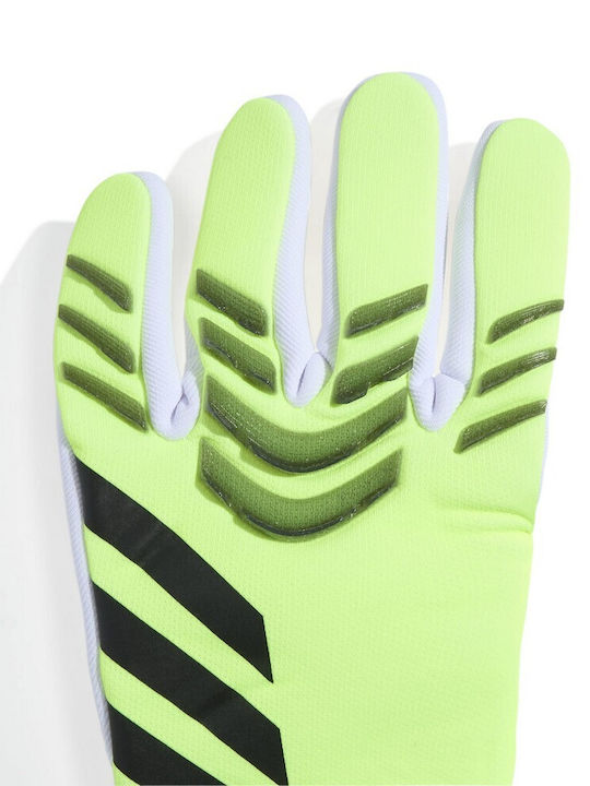 adidas Pred Gl Lge Torwarthandschuhe Erwachsene Grün