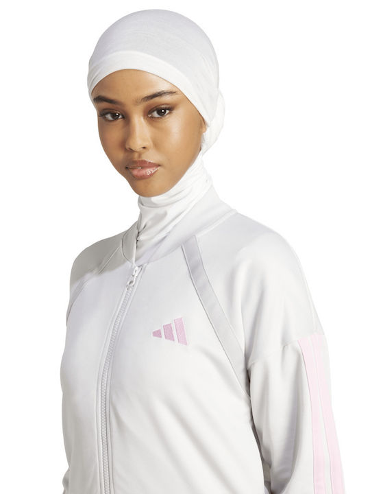 Teamsport Sweatpants Set Gray
