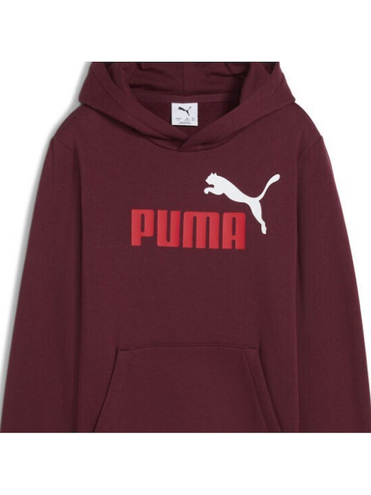 Kids Sweatshirt with Hood and Pockets Burgundy Essentials