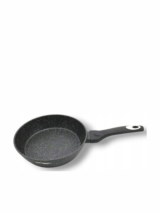 Masterpan Pan aus Aluminium 24cm