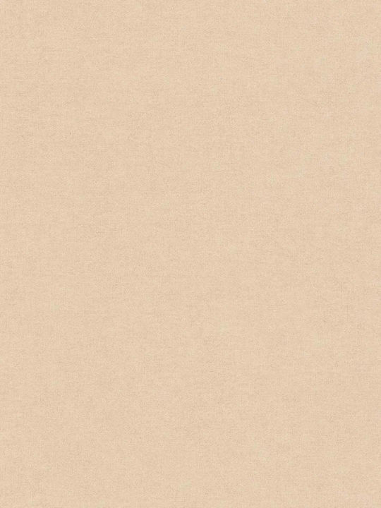 Тапет за Стена Бежов 1005x53см