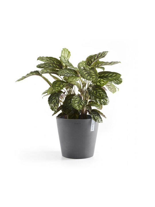 Ecopots Amsterdam Γλάστρα Πλαστική Γκρι 30x30x26.5εκ.
