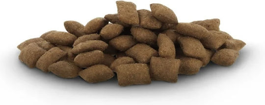 Pawsome Crounchy Paws Huhn & Käse 150g