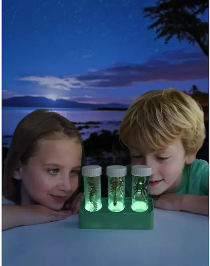 4M Φωσφορούχων Ζωυφίων Laboratory for 5+ years Years Old
