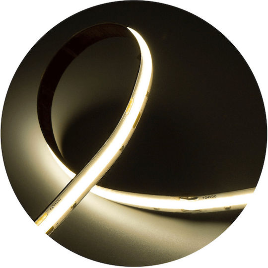 Modee Lighting LED Strip 24V Natural White Light Type COB