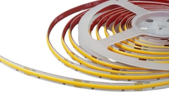 Modee Lighting LED Strip 24V Natural White Light Type COB