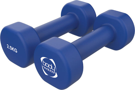 30011 Βαράκι από Νεοπρένιο 1 x 2.5kg