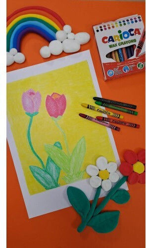 Carioca Wax Crayons Maxi Set von Buntstiften mit 50 Farben 42388