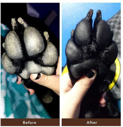Natural Dog Company Προστατευτικό Τις Πατούσες Σκύλου Balm Pawtection 59ml