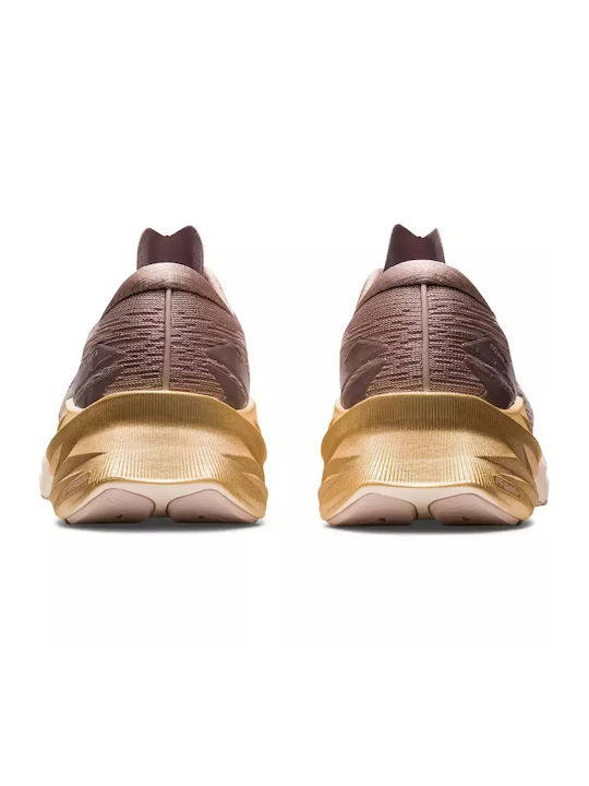 Novablast 3 Sport Shoes Running Fawn / Mineral Beige