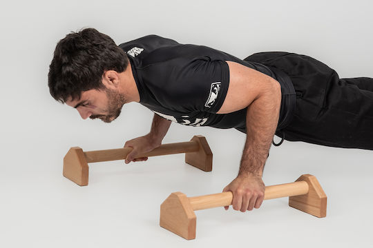 Rage Push Up Handles Set of 2