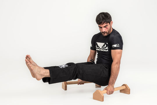 Rage Push Up Handles Set of 2