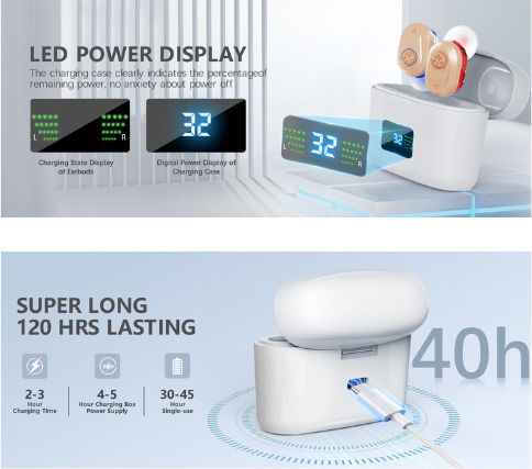 Red & Blue Z-127D Digital Rechargeable ITE Hearing Aids