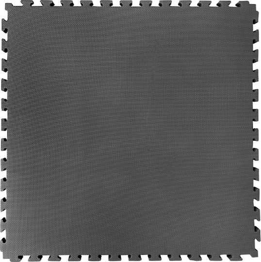 Fitpro Boden Puzzle Fitnessstudio Doppelseitig 100x100x2cm 1Stück