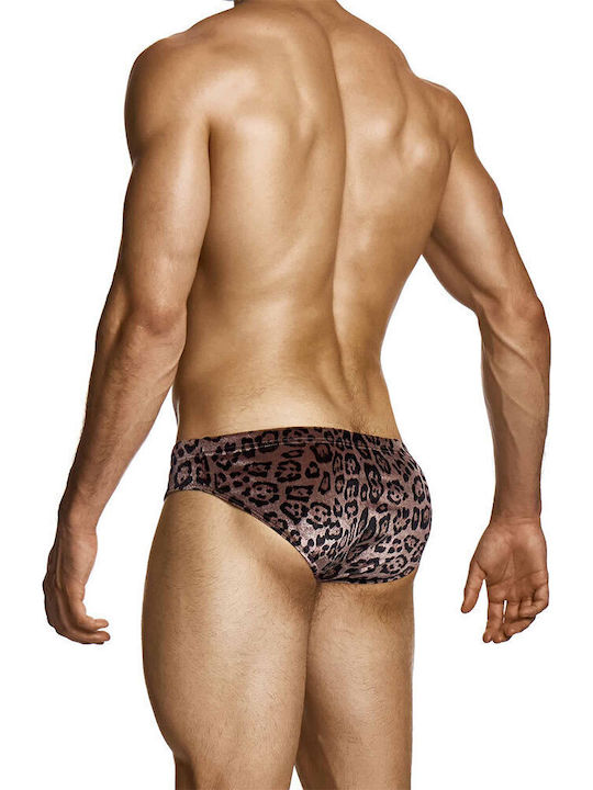 Modus Vivendi