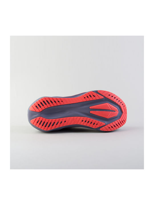 Novablast 5 Sport Shoes Running Greyish Purple / Coral Reef