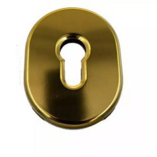 Disec KT036 Interior Rosette Cylinder Lock