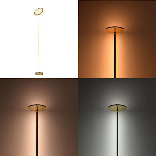 Pakketo Rita LED Floor Lamp H160xW25cm. Gold