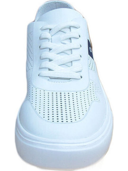 Blauer