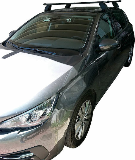K39 für Peugeot 308 2013-2021 (mit Dachträgerfüßen)