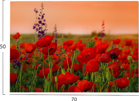 HomeMarkt Gobi Painting on Canvas 70x50cm