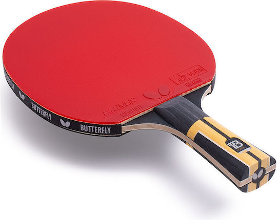 Tischtennisschläger Butterfly Timo Boll Force 82004