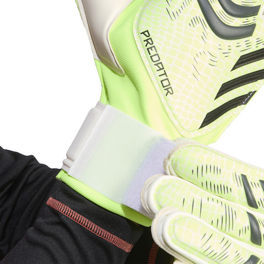 adidas Predator Gl Mtc Torwarthandschuhe Erwachsene Grün