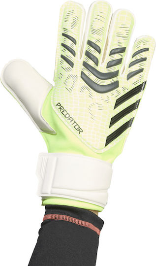 adidas Predator Gl Mtc Torwarthandschuhe Erwachsene Grün
