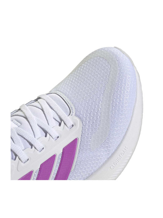 Runfalcon 5 Sport Shoes Running Purple