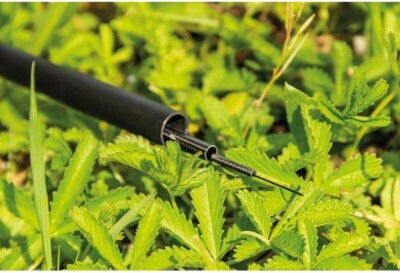 Rive Lanseta de pescuit pentru Turnare 5m