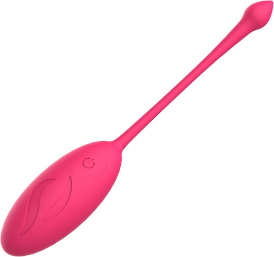 Astral 10 Function Love Egg