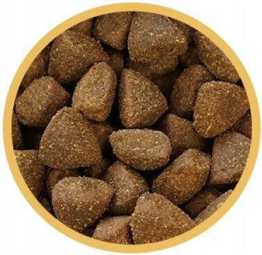 Biofeed 12kg Trockenfutter ohne Gluten für Welpen mittlerer & großer Rassen mit Fleisch, Türkei und Kaninchen