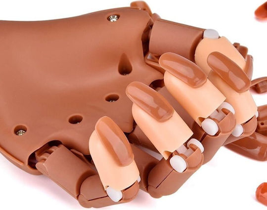 Educational Hand for Aesthetics