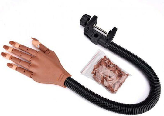 Educational Hand for Aesthetics