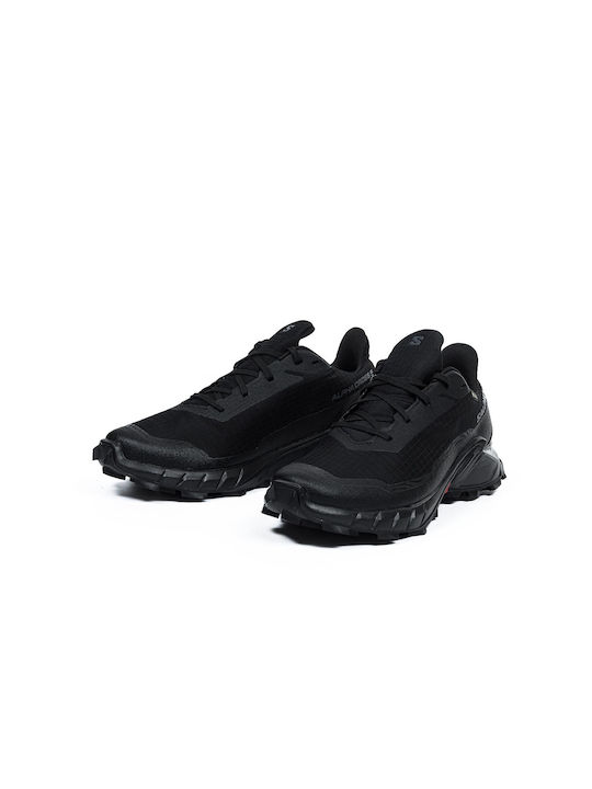 Alphacross 5 GTX Sport Shoes Running Waterproof with Gore-Tex Membrane Black Peat / Sulphur / Spring
