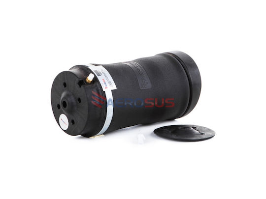 Aerosus Air Suspensions 1pcs for Mercedes-Benz R