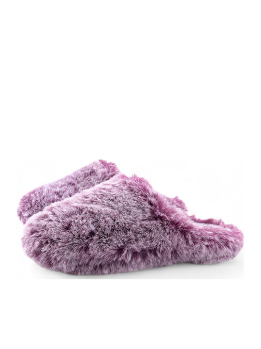 Adam's Shoes